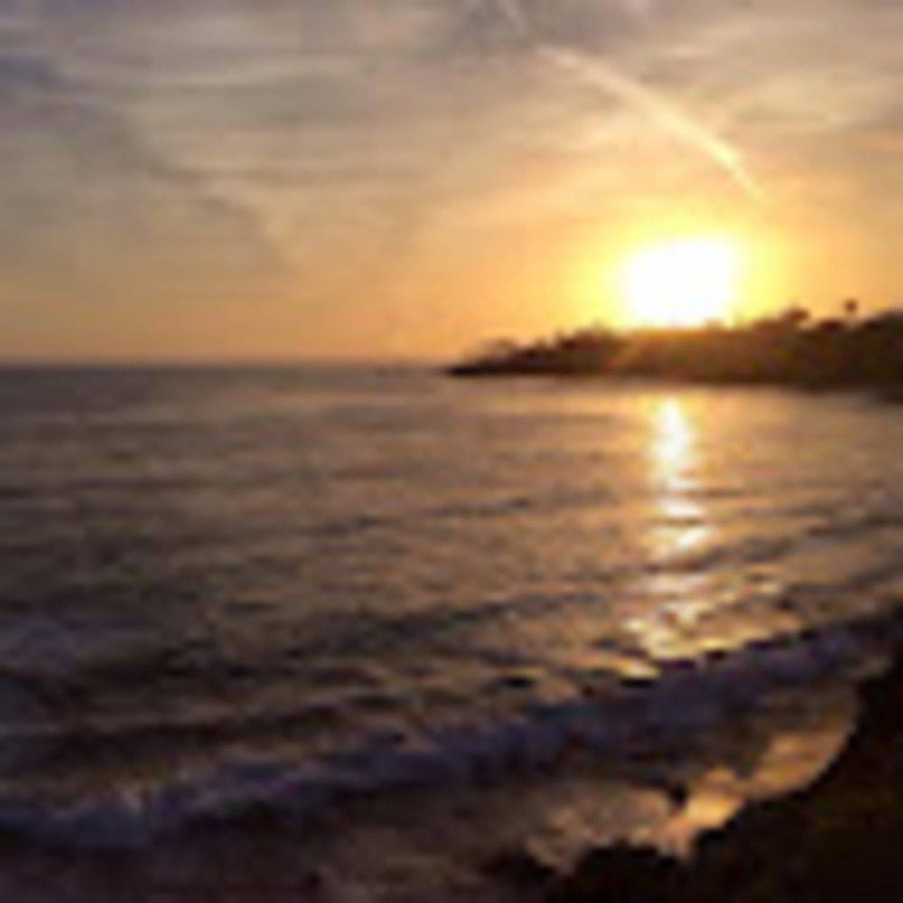 Meet your Posher, Jozie